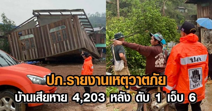 cats+++78465123978465123 This image is not belong to us