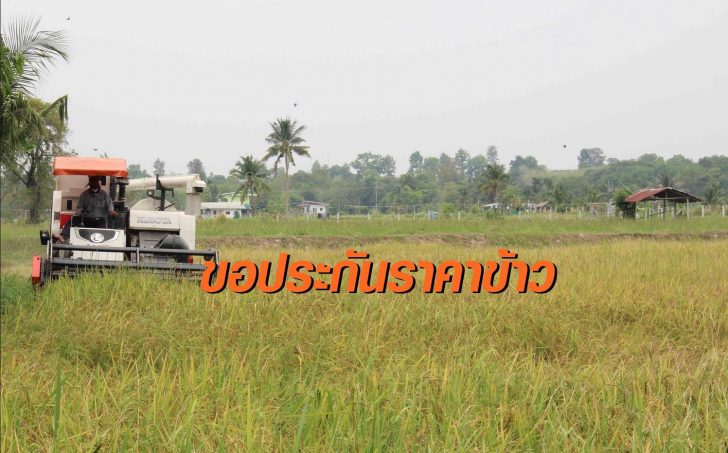 ชาวนา