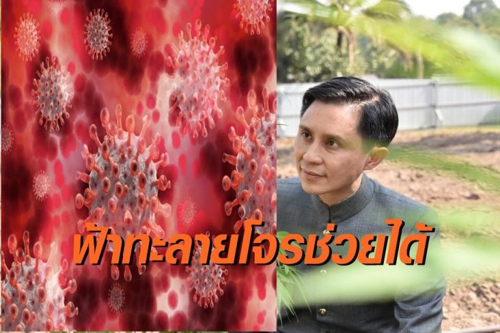 ปานเทพ ฟ้าทะลายโจร