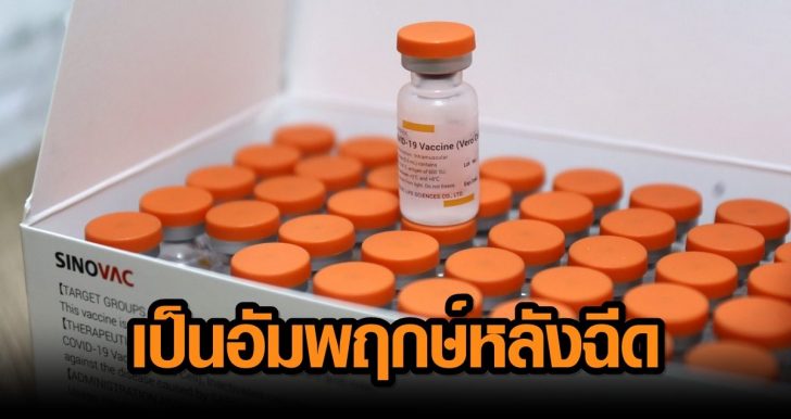 วัคซีนโควิด-19ซิโนแวค1