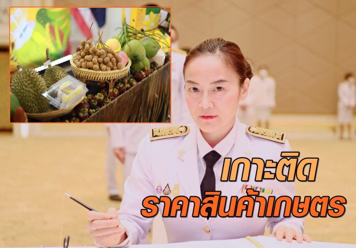สินค้าเกษตร