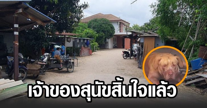 เจ้าของแบนด๊อก-สิ้นใจ