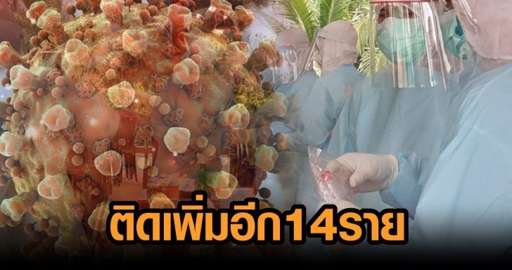โควิด 10545