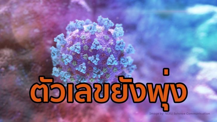 โควิดกกดกก