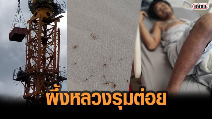 โควืด-c3783873