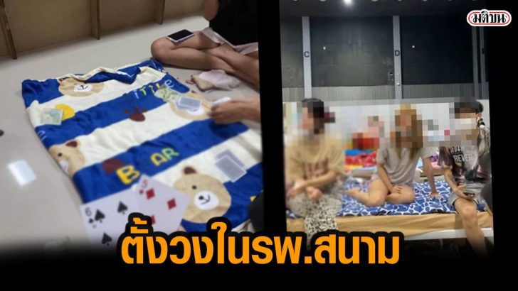 โควืด565656