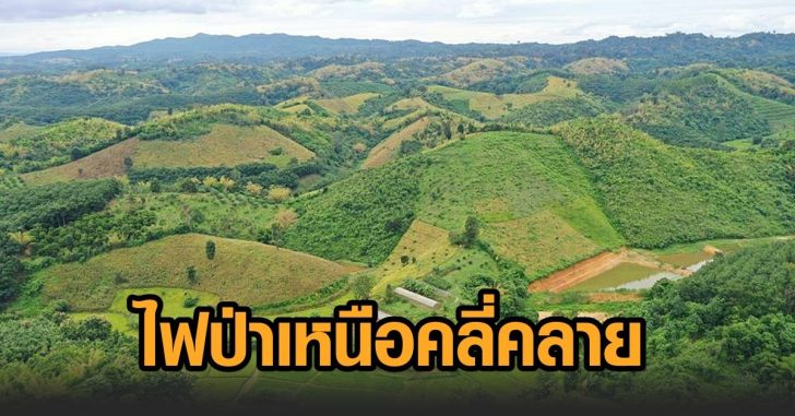 ไฟป่าเหนือคลี่คลาย