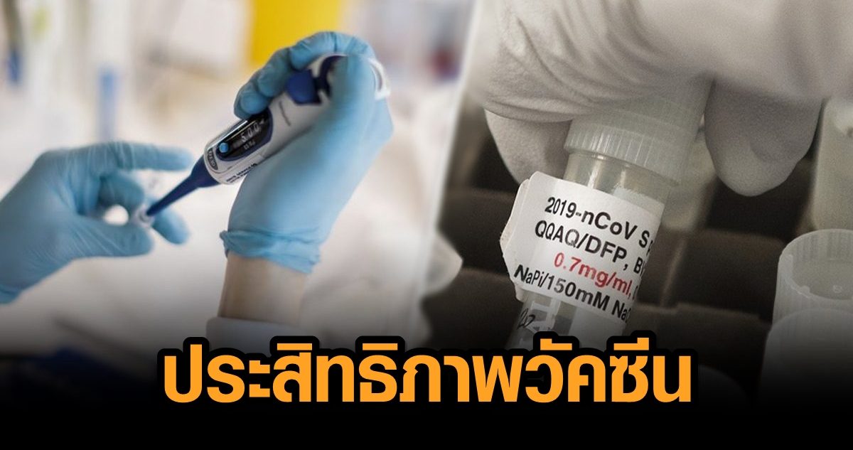 แพทย์รามาฯ เผยข้อมูลประสิทธิภาพวัคซีนโควิดแต่ละชนิด ชี้การฉีดเป็นสิทธิ ทุกคนควรได้เลือก
