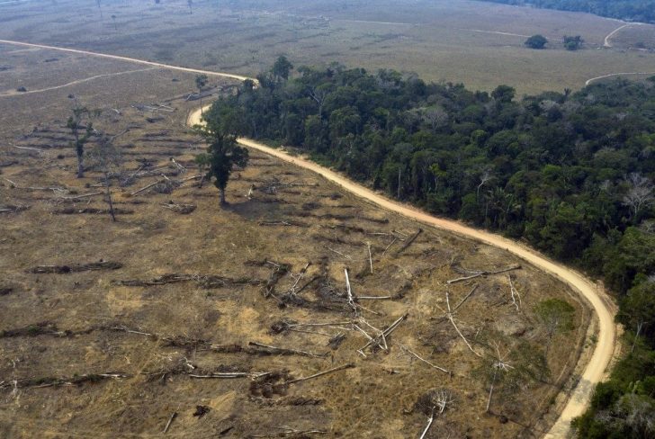 FILES-BRAZIL-ENVIRONMENT-BILL
