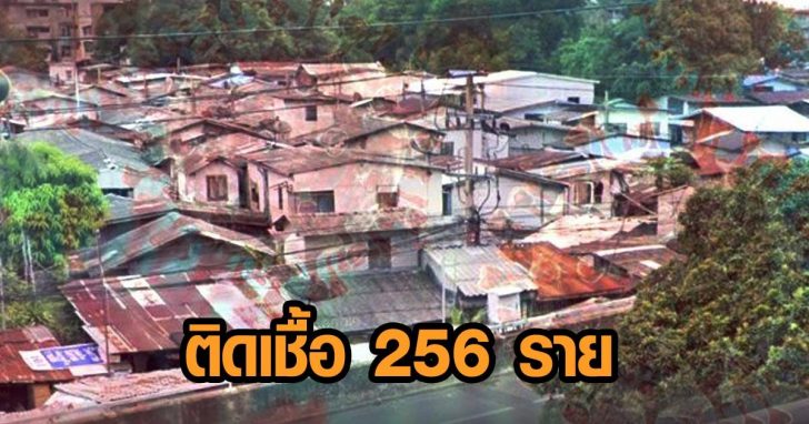 0032498928394