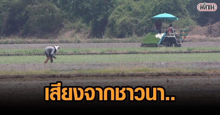 100564_ชาวนาชยนาทถอฤกษวนพชมงคลลงมอไถ-ดำ.00_00_37_22.Still003