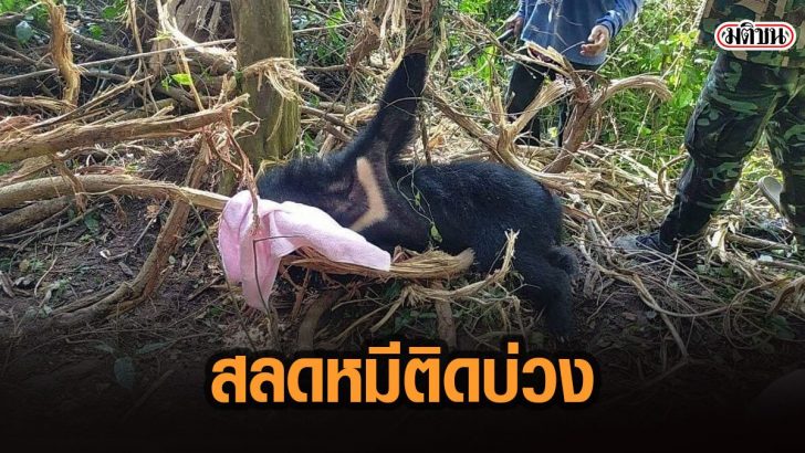 29กะืพ