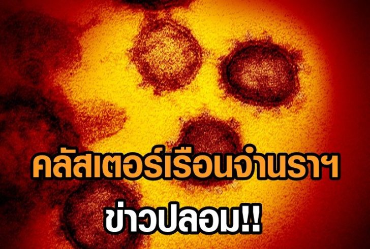 Transmission electron microscope image shows SARS-CoV-2, also known as novel coronavirus