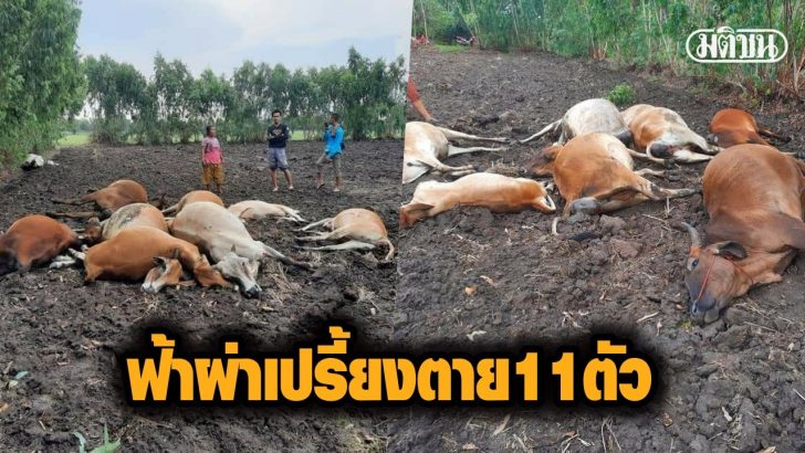 กฟกกกฟกฟ