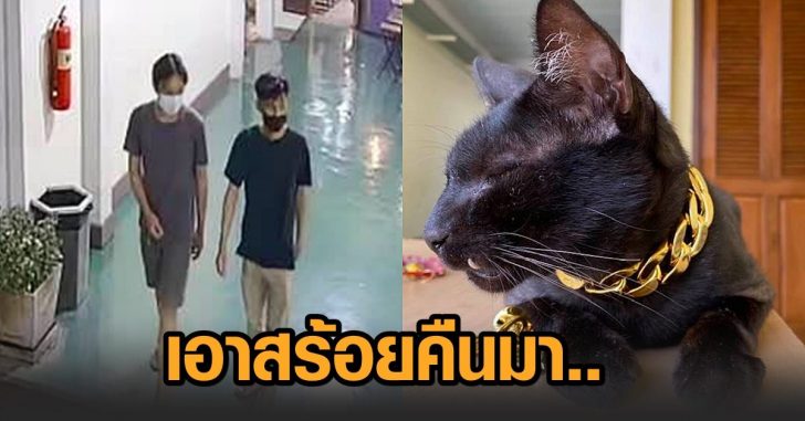 ขโมยสร้อยแมว