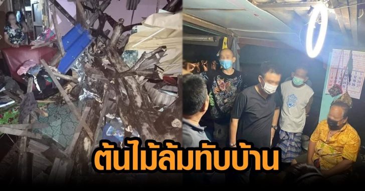 ตนไม้ล้มทับบ้าน