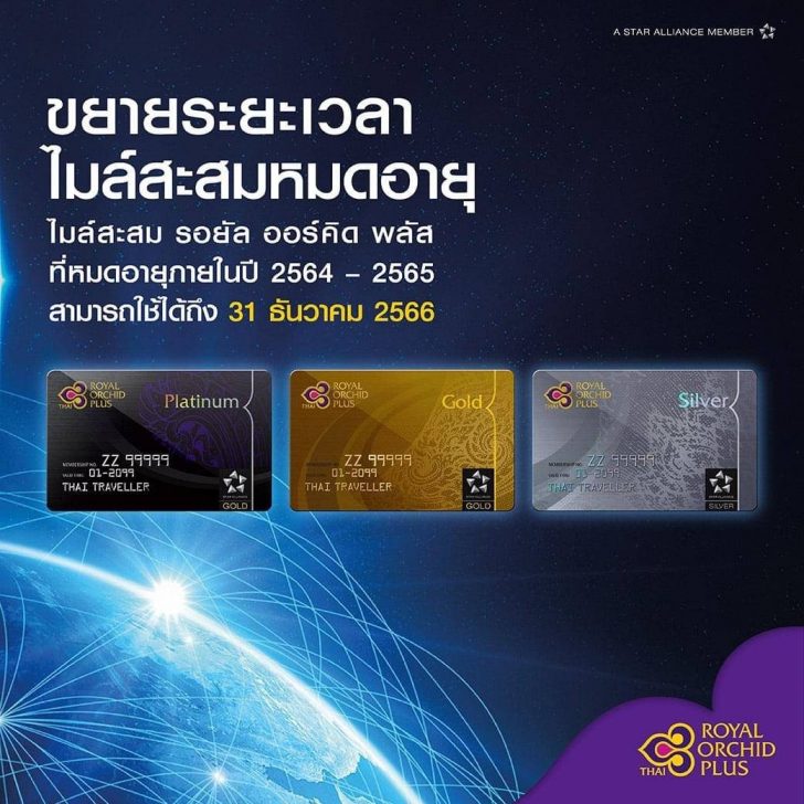 บินไทย