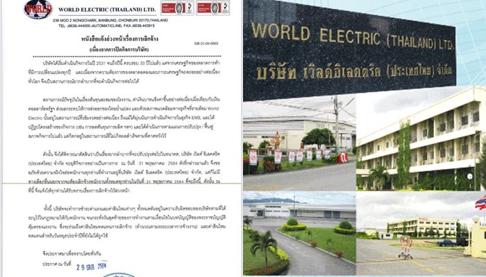 ปก