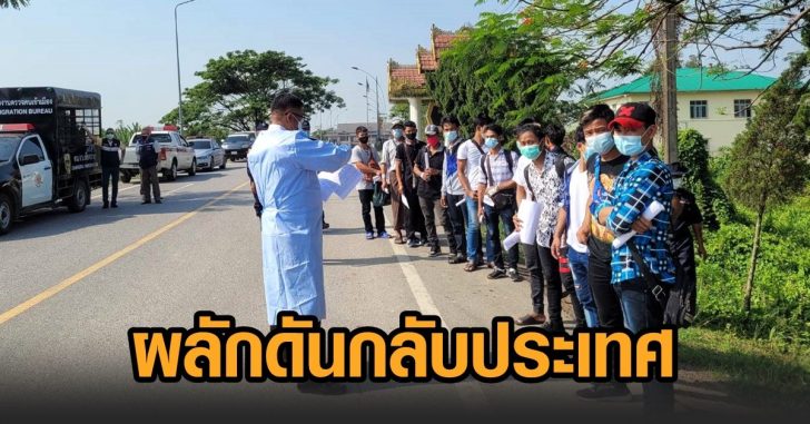 ผลักดัน101-กลับประเทศ