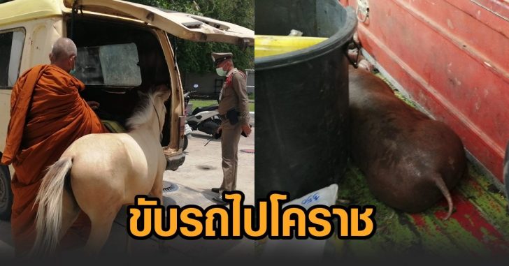 พระจะไปโคราช