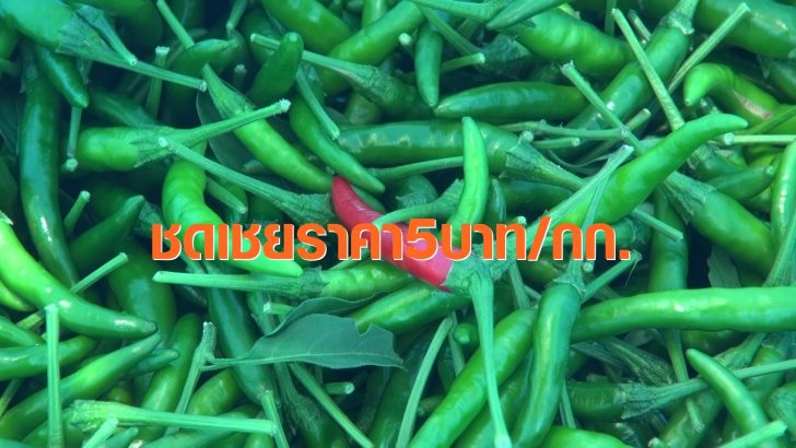 พริกเขียว