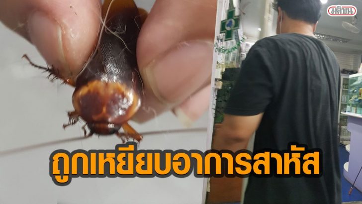 พไพไพ