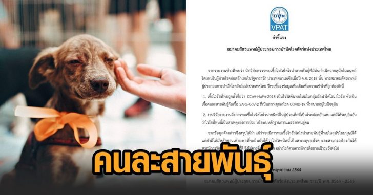 สมาคมสัตวแพทย์ฯแจงข่าว นักวิจัยพบเชื้อโคโรนาสายพันธุ์ใหม่ จากสุนัขสู่คน ยันคนละสายพันธุ์สาเหตุโรคโควิด
