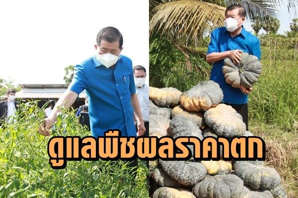 ราคาตก