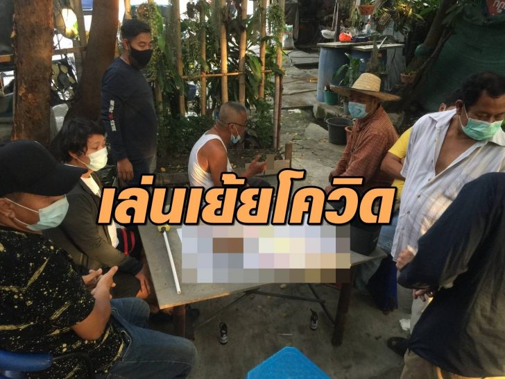 วงไฮโล