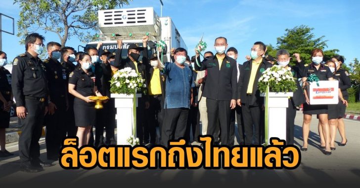 วัคซีน-ลัมปีสกิน