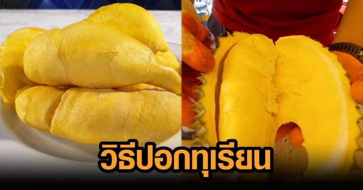 วิธีปอกทุเรียน