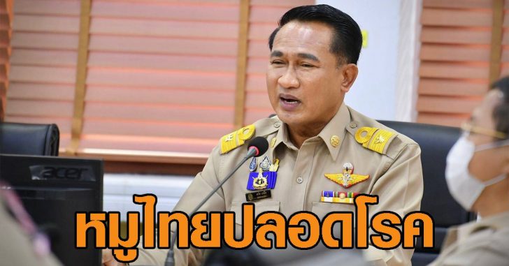 หมูไทยปลอดโรค00
