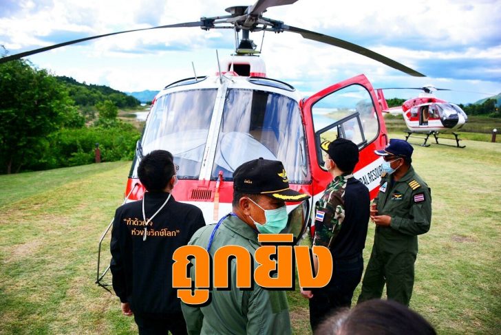 ฮอล