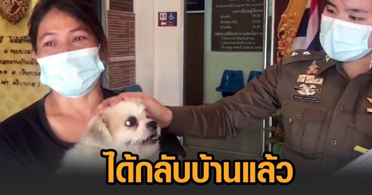เจ้าของมารับหมา