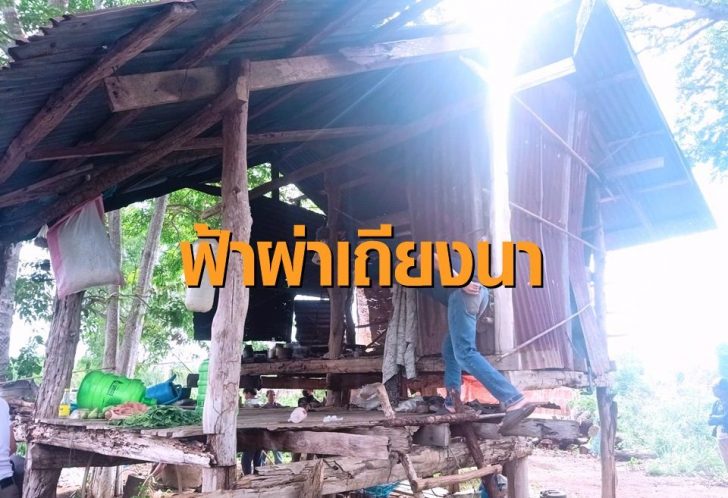 เถียงนา