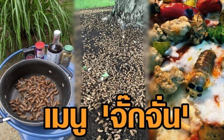 เมนูจัีกจั่น