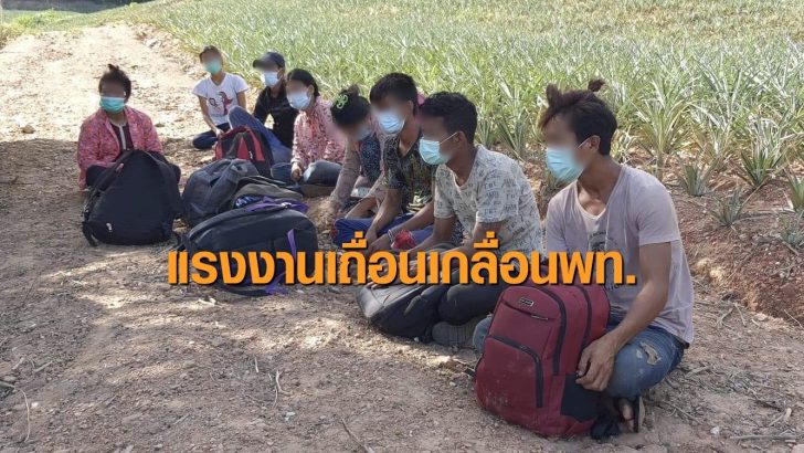 แรงงานเถื่อน