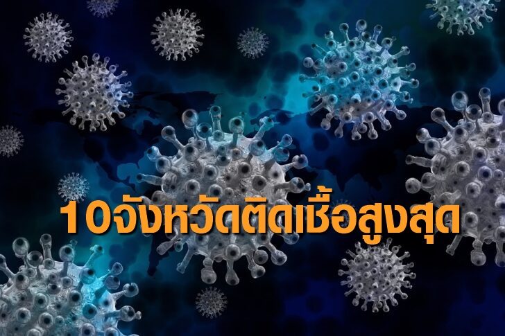 โควิดน้ำเงิน10จว