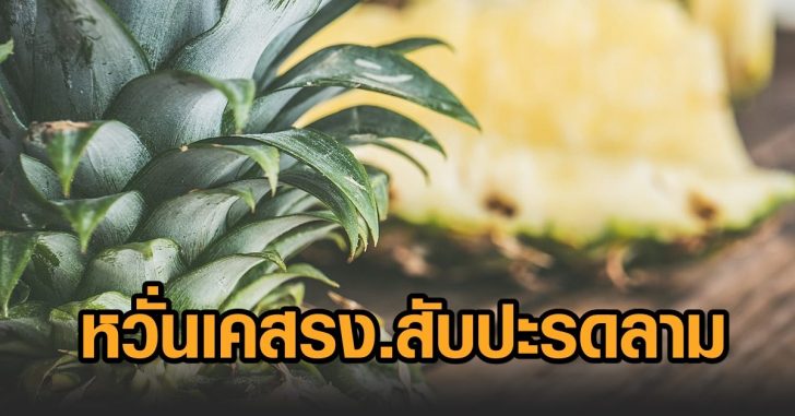 โควิดประจวบ