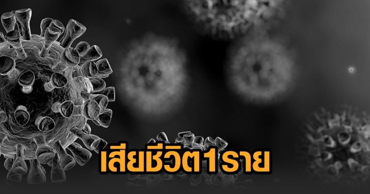 โควิดสุพรรณ