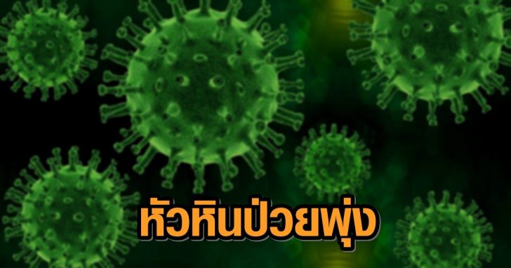 โควิดเขียว-1+++978465213978465213