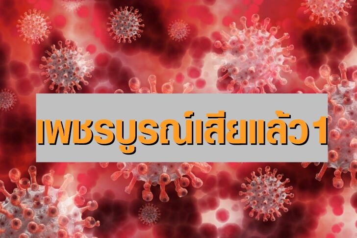 โควิดแดงอยุธยา