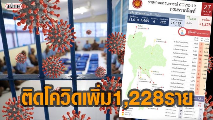 โควืด6565