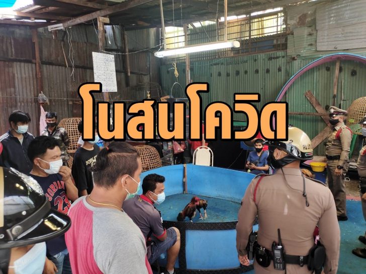 โนสนโควิด