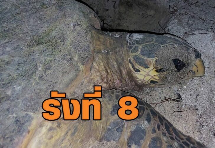 222