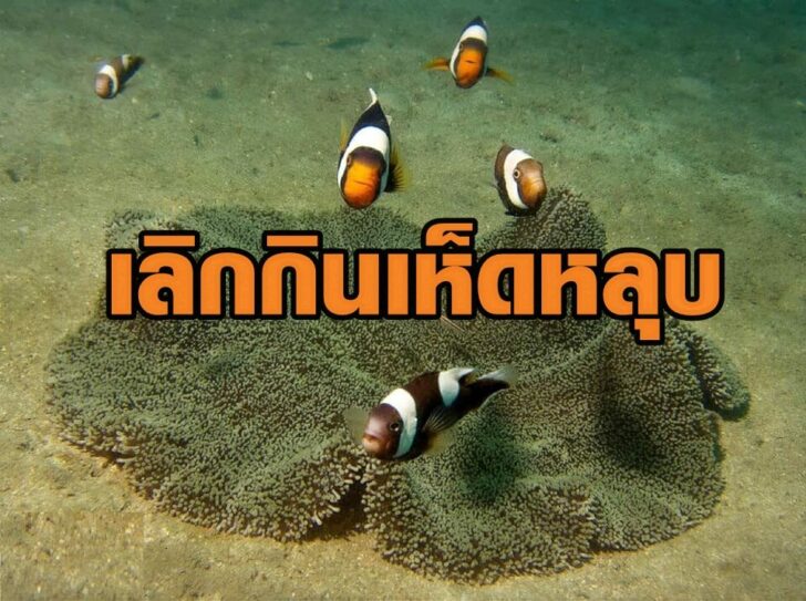 2222