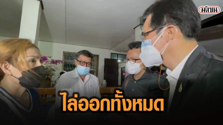 31เมั้เะ