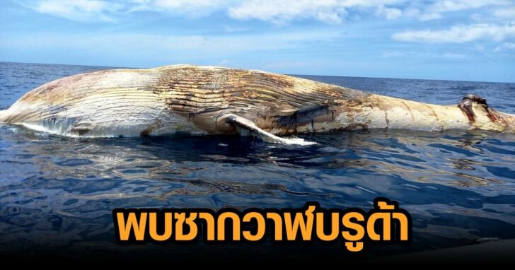 32345EA0-26D3-4853-9ADE-D8D08D6DBFEF
