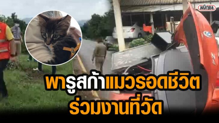 3553าชทัณฑ์