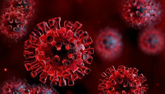 763740_4073734_Coronavirus-AFP_updates